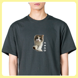 うちの子グッズ【Tシャツ】 オリジナルTシャツ 写真 プリント 印刷 愛猫 愛犬 ハムスター カワウソ etc... 10枚目の画像