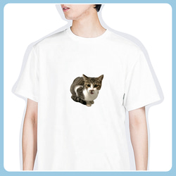 うちの子グッズ【ドライTシャツ】 オリジナルドライTシャツ 吸汗速乾 写真 プリント 印刷 猫 犬 うさぎ etc... 11枚目の画像