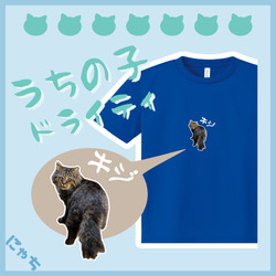 うちの子グッズ【ドライTシャツ】 オリジナルドライTシャツ 吸汗速乾 写真 プリント 印刷 猫 犬 うさぎ etc... 1枚目の画像