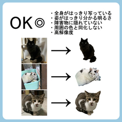 うちの子グッズ【ドライTシャツ】 オリジナルドライTシャツ 吸汗速乾 写真 プリント 印刷 猫 犬 うさぎ etc... 5枚目の画像