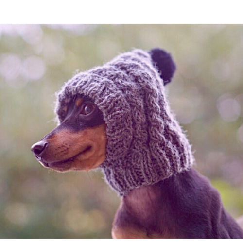 ケイさま ♡ 大人気 手編み◇ 犬 スヌード ◇ イタグレ ウィペット