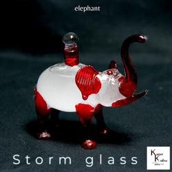 Storm Glass《大象的Storm Glass紅》Storm Glass埃及玻璃大象瓶 第1張的照片