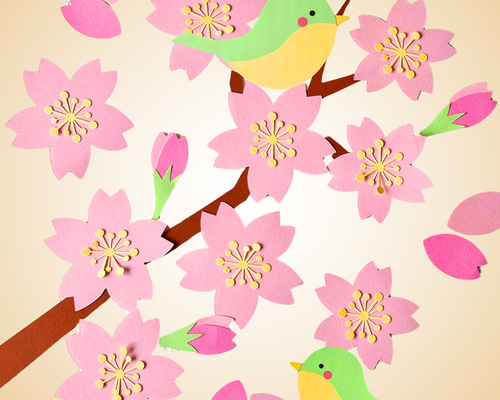 春の壁面】ふんわりピンクの桜で春気分♪保育園・介護施設にぴったりの