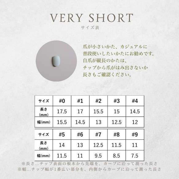 計測用チップ【10+1枚セット】 7枚目の画像