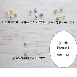 <再販❀>　ソウタシエ　てんとう虫　ピアス　イヤリング　  soutache pierced earring 3枚目の画像