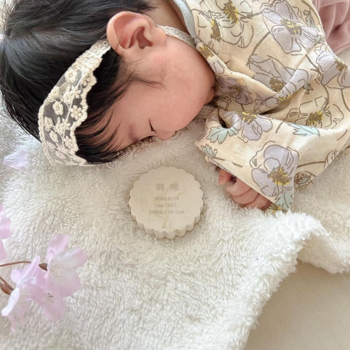 10日以内に発送》プレミアム お名前札 命名書 / ジェスモナイト 雛人形