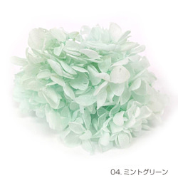 【即納】 ピラミッドアジサイグラバー 20g ミントグリーン プリザーブドフラワー あじさい 紫陽花 花材 花 緑 1枚目の画像