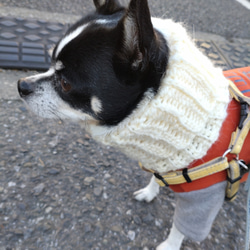 犬用　犬服　スヌード　Mサイズ　ネックウォーマー　防寒 2枚目の画像