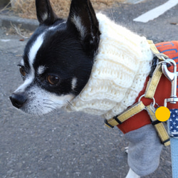 犬用　犬服　スヌード　Mサイズ　ネックウォーマー　防寒 1枚目の画像