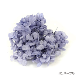 【即納】 ピラミッドアジサイグラバー 20g パープル プリザーブドフラワー あじさい 紫陽花 花材 花 紫 1枚目の画像