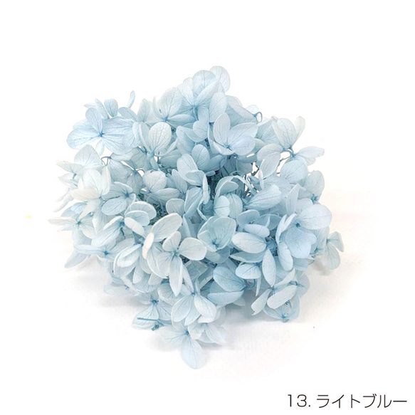 【即納】 ピラミッドアジサイグラバー 20g ライトブルー プリザーブドフラワー あじさい 紫陽花 花材 花 青 1枚目の画像