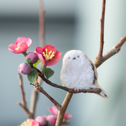 【受注生産】シマエナガさん と 木瓜 の 布花 ブローチ　森の動物絵本 1枚目の画像