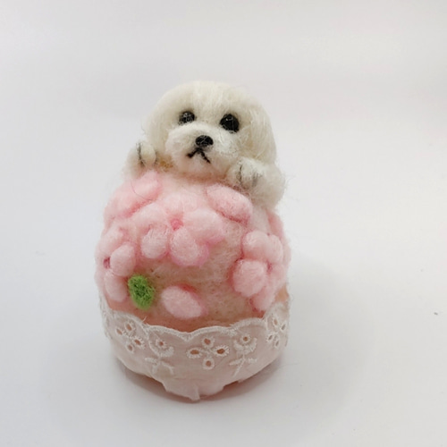 羊毛フェルト マルチーズ 家族