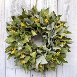 b78c1aec3b4aadd756bd890301caf7