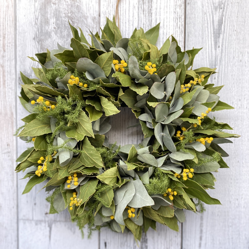 ミモザとユーカリとローリエ(月桂樹)のリース ドライフラワー