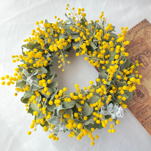 ミモザリース　パールアカシア　即購入可 ドライフラワー リース ミモザ パールアカシア① 数量限定【60／80