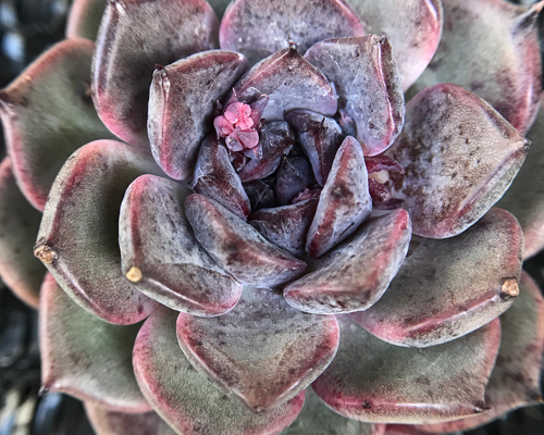 7e9723bf9ffdd70556ba656d9877e2