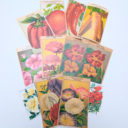 フランス/ ヴィンテージ 野菜とお花シードパッケージラベル10枚＋