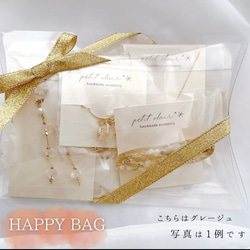 HAPPYBAG 2枚目の画像