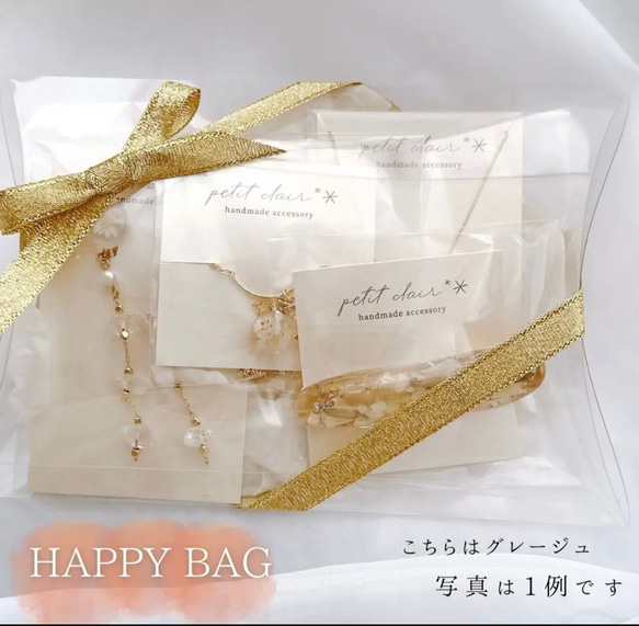 HAPPYBAG 2枚目の画像