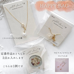 HAPPYBAG 3枚目の画像