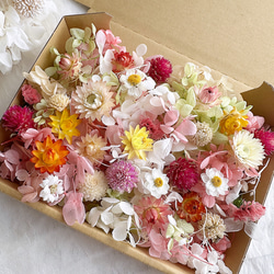 花材セット 花材詰め合わせ ドライフラワー その他素材 momo.flower