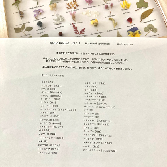  第9張的照片