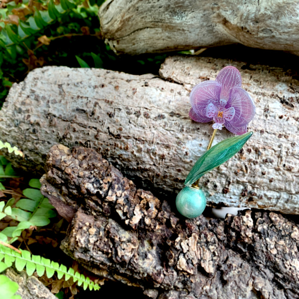 胸針 | 蝴蝶蘭 | 紅｜紫｜禮物 | 禮盒 Orchid 第6張的照片