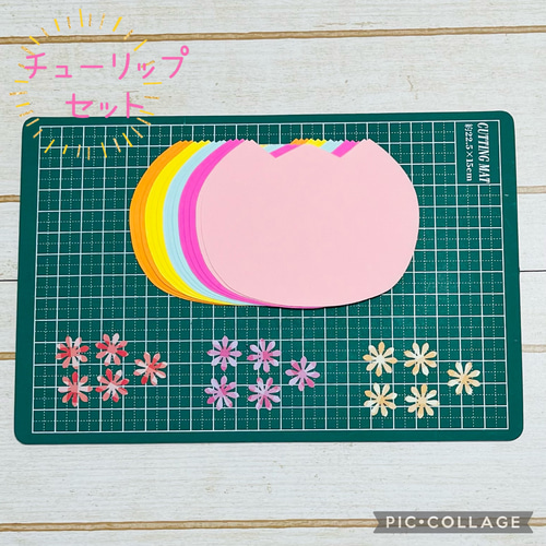 くま様ご確認ページ Amazon | 小久保工業所 クマnonシート (6枚入 / 保管ケース付