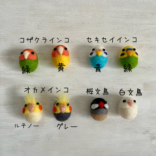 受注制作】鳥さんinキウイ 羊毛フェルト SHINO-RIO 通販 17168429