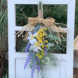 春色新作2024 春の訪れを告げる♡ミモザスワッグ♡ スワッグ little