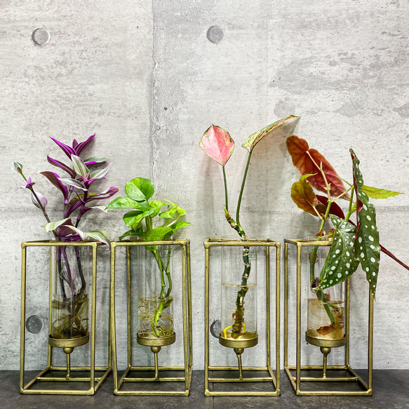 アートフラワー観葉植物 包め 2つセット ガラスバスケット