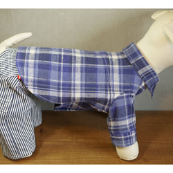 新色✨犬服 ウルトラマリンブルー★アメカジ好きのためのネルシャツ★チェックシャツ ドッグウェア 6枚目の画像
