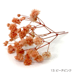 【即納】 かすみそうブロッサム 50g ピーチピンク プリザーブドフラワー カスミソウ 花材 小さい花 花 3枚目の画像