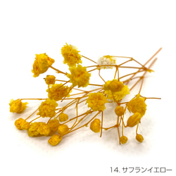 【即納】 かすみそうブロッサム 50g サフランイエロー プリザーブドフラワー カスミソウ 花材 小さい花 花 黄色 2枚目の画像