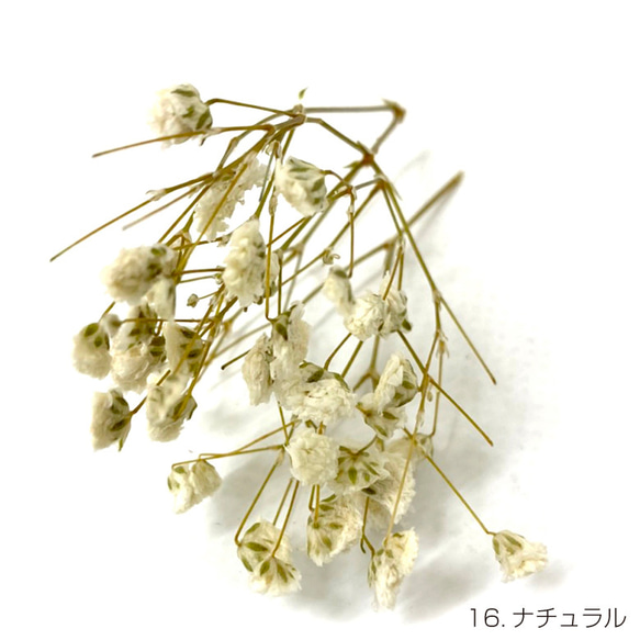 【即納】 かすみそうブロッサム 50g ナチュラル プリザーブドフラワー カスミソウ 花材 小さい花 花 白 2枚目の画像