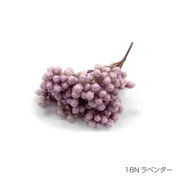【即納】 ライスフラワー ナチュラルシリーズ 70g ラベンダー プリザーブドフラワー 花材 小さい花 花 1枚目の画像