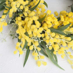 MIMOSA & Eucalyptus Wreath 8枚目の画像