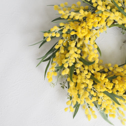 MIMOSA & Eucalyptus Wreath 5枚目の画像