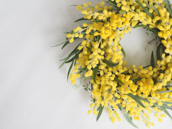 MIMOSA & Eucalyptus Wreath 5枚目の画像