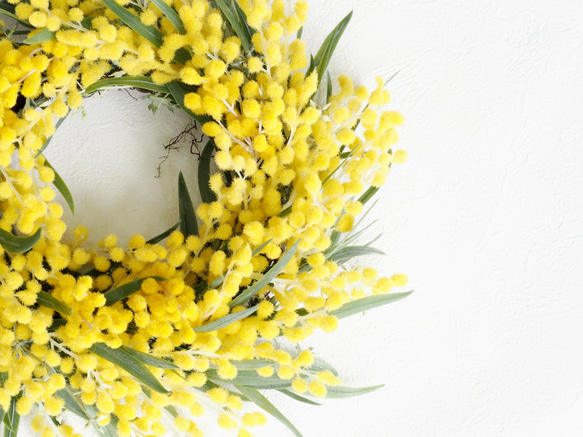 MIMOSA & Eucalyptus Wreath 2枚目の画像