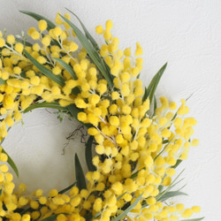 MIMOSA & Eucalyptus Wreath 3枚目の画像