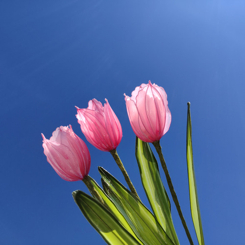 チューリップ♡ディップアート♡アメリカンフラワー アートフラワー