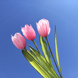 チューリップ♡ディップアート♡アメリカンフラワー アートフラワー