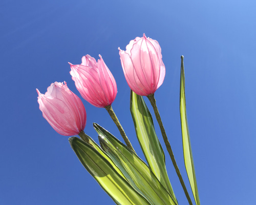 チューリップ♡ディップアート♡アメリカンフラワー アートフラワー