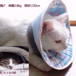 洗える猫用エリザベスカラー【蝶と苺・レッド】 4枚目の画像