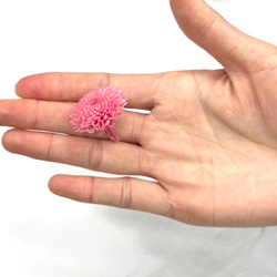 【即納】 グラデーションマムカレン 9輪 ピンク プリザーブドフラワー 菊 マム キク 花材 花 材料 4枚目の画像