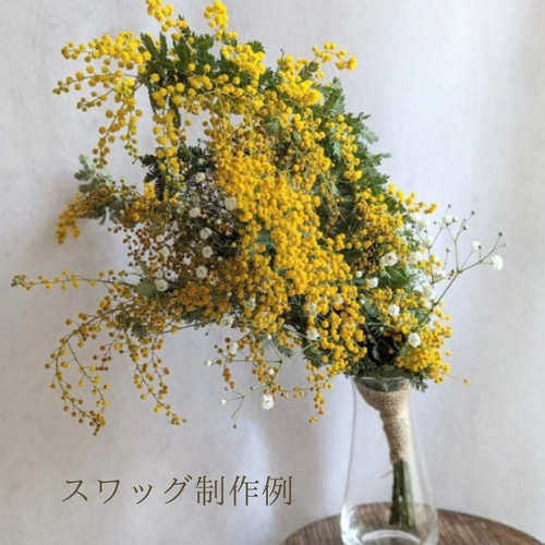 2024年のミモザ花材販売開始！】90サイズの段ボールいっぱい