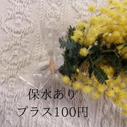 【2024年のミモザ花材販売開始！】90サイズの段ボールいっぱい！アカシアミモザ（日本産）花材　スワッグ　 5枚目の画像