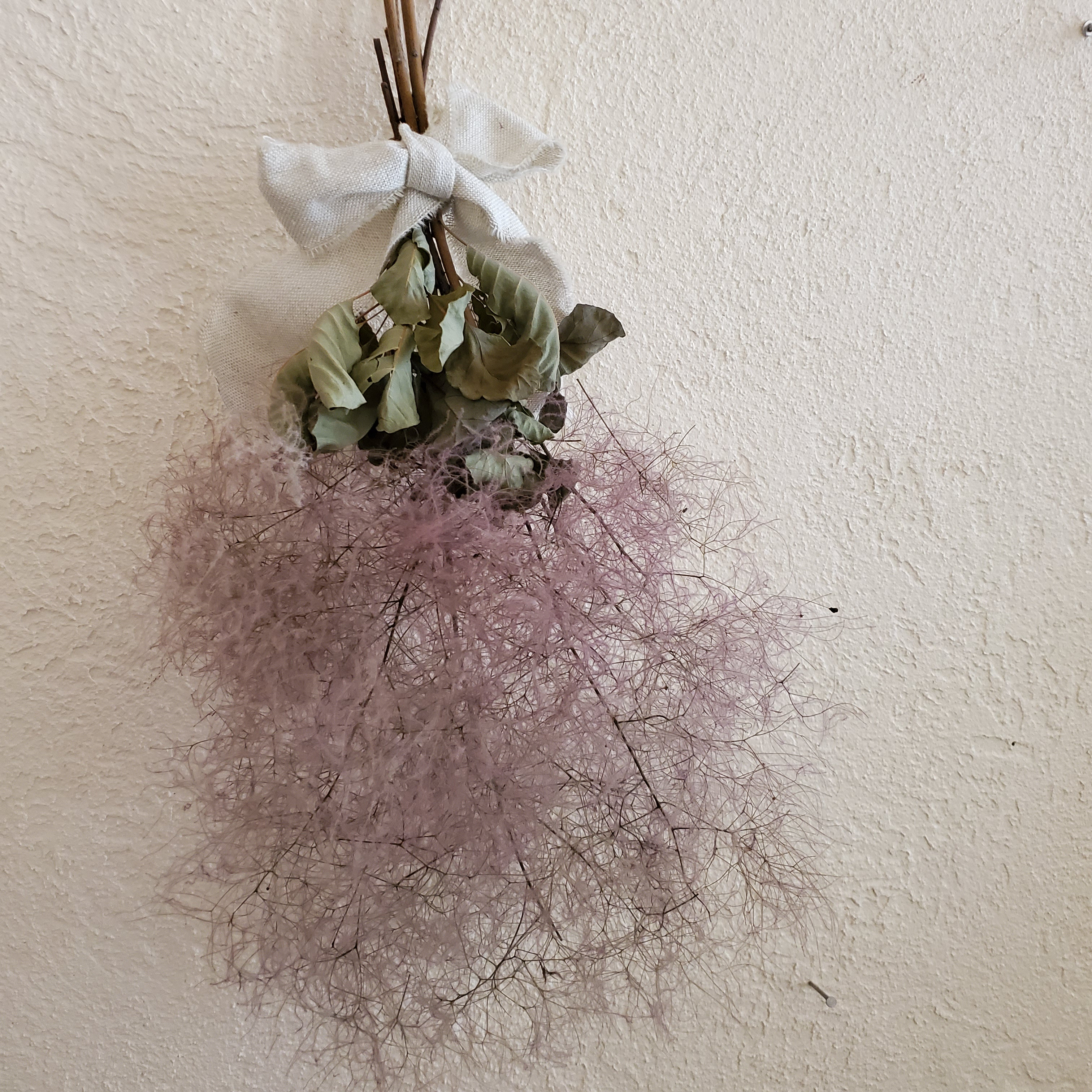 スモークツリーの小さめスワッグ スワッグ GREEN ROSE 通販